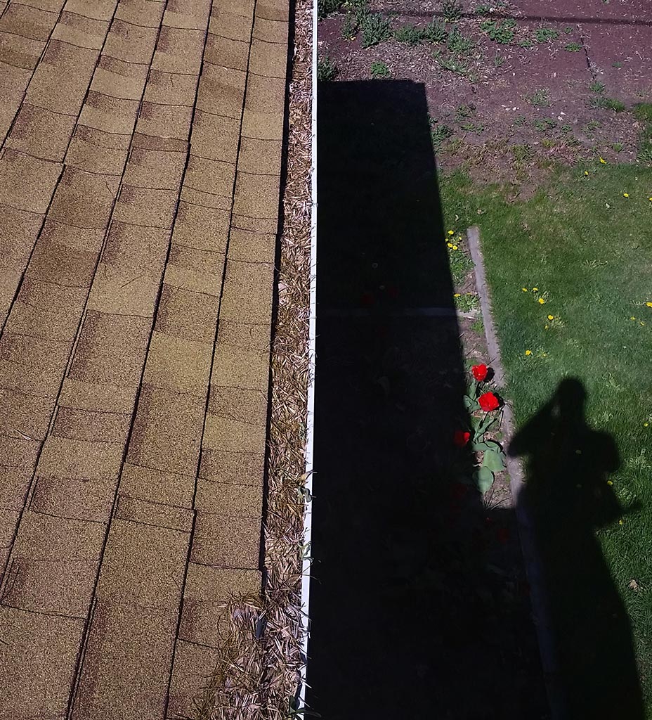 Clear Choice: Overhead view of a shingled roof edge with gutter cleaning, casting a distinctive shadow over a lawn with a few red flowers and scattered dandelions.