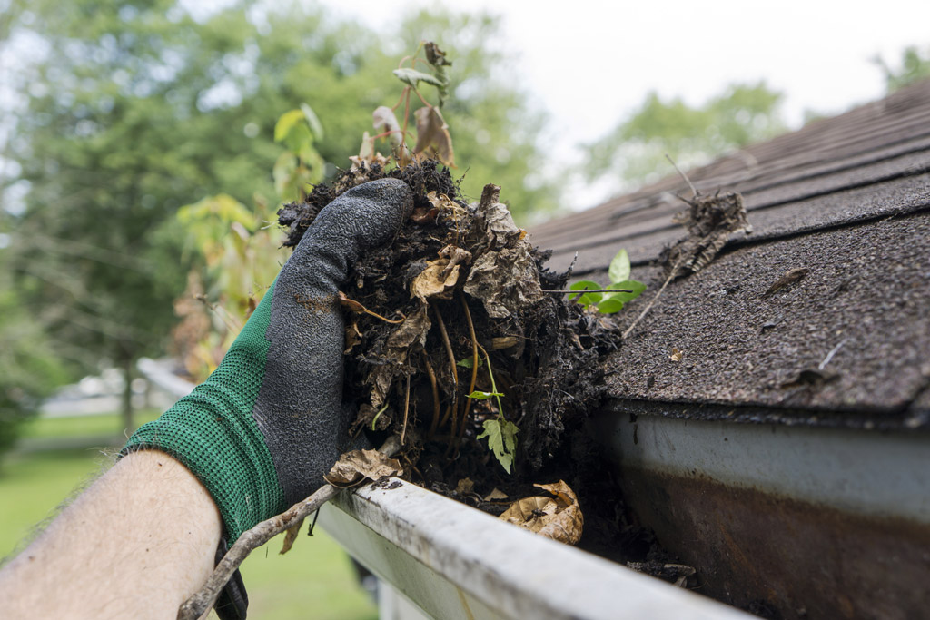 Clear Choice: A person wearing a green glove cleaning leaves and debris from a house gutter in the Boise Valley.