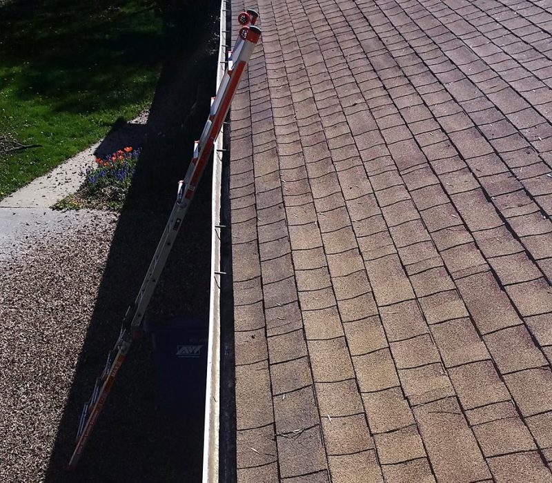 Clear Choice: An extendable ladder leaning against a house roof with shingles, viewed from above on a sunny day, ideal for gutter cleaning.