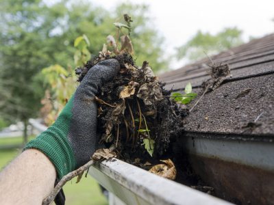 Clear Choice: A person wearing a green glove cleaning leaves and debris from a house gutter in the Boise Valley.
